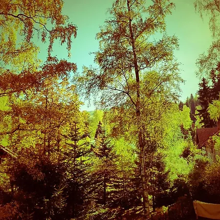Janosik Rum i privatbostad Karpacz