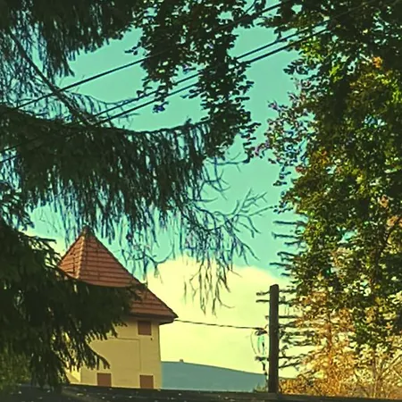 Janosik Rum i privatbostad Karpacz